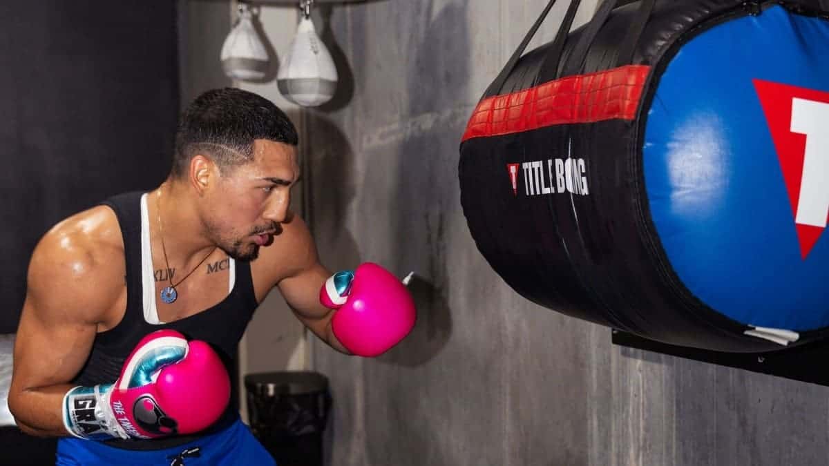 Teofimo Lopez training 2024